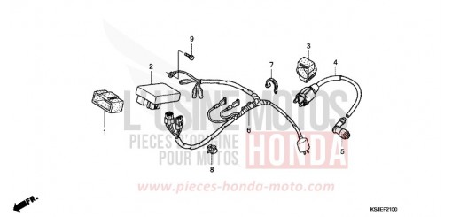 FAISCEAU DES FILS CRF100F8 de 2008